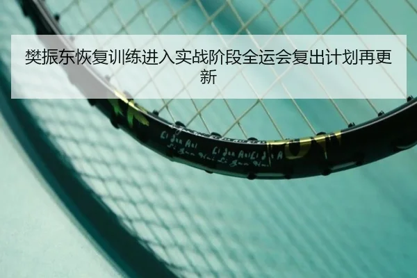樊振东恢复训练进入实战阶段全运会复出计划再更新
